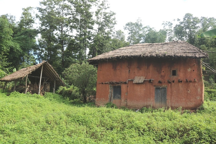 बाँदर आतंकले रित्तिँदै गाउँ