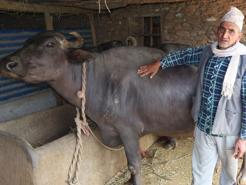दूध र मह बिक्रीबाट मनग्य आम्दानी