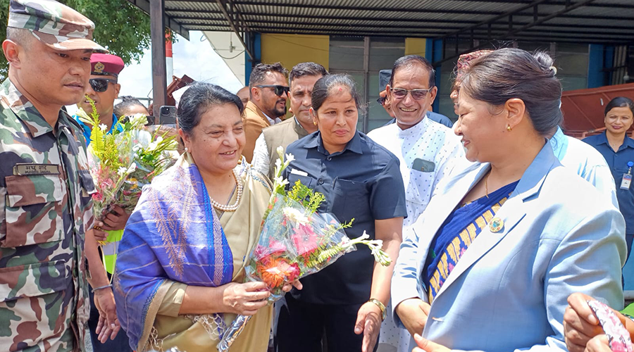 एमालेको हितमा लाग्छु, मलाई गुट चलाउन आउँदैन: विद्यादेवी भण्डारी