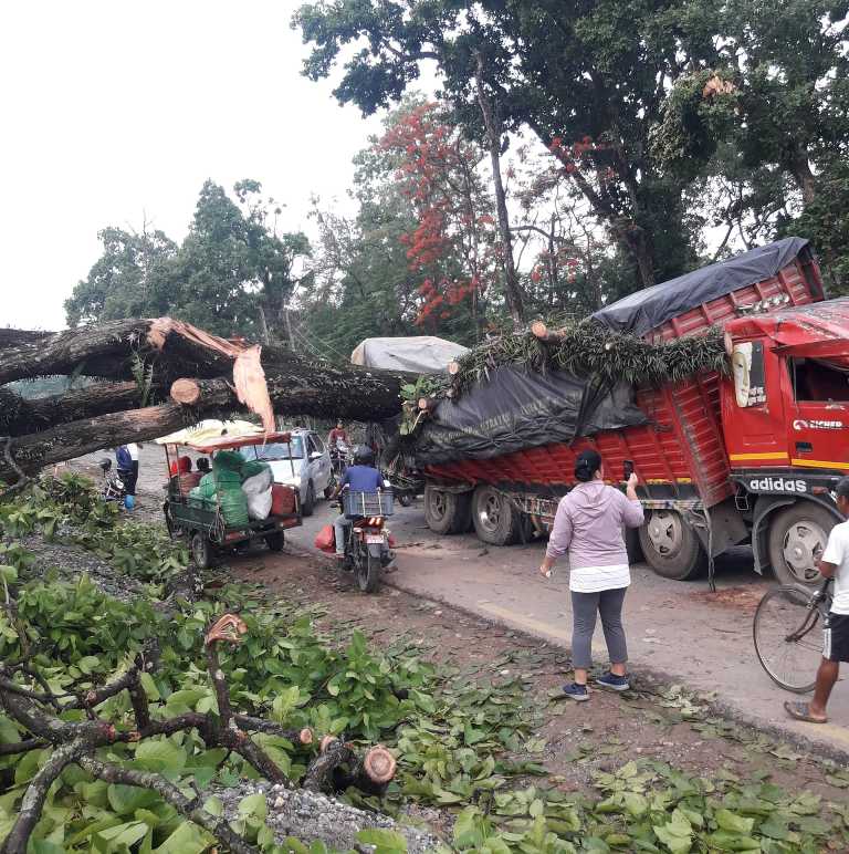 चितवनमा हावाहुरीबाट मृत्यु हने तिनजनाको सनाखत