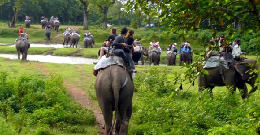 चितवन राष्ट्रिय निकुञ्जमा तीन लाख पर्यटक