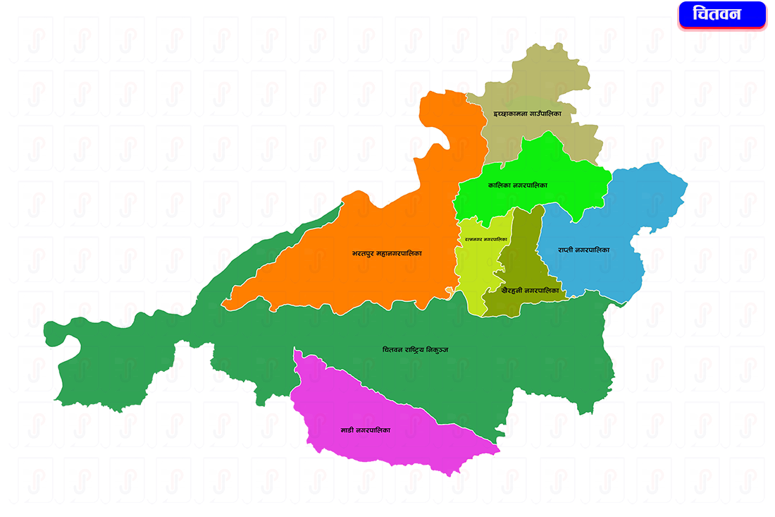 चितवन क्षेत्र नं ३ : मतदाता ठूला दलका, उम्मेदवार साना दलका