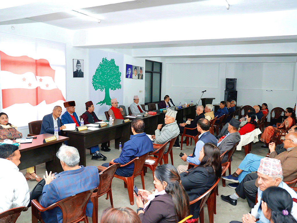 खड्का र सिटौलालाई प्रश्न : विशेष महाधिवेशनले पार्टी फुटाउने भए विधानबाट किन हटाउनुभएन ?