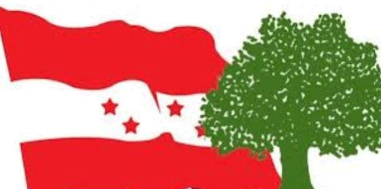 ‘फागुन २१ का लागि मेरो २१ दिन’ अभियानसहित नेता कार्यकर्तालाई परिचालन गर्ने काँग्रेसको निर्णय