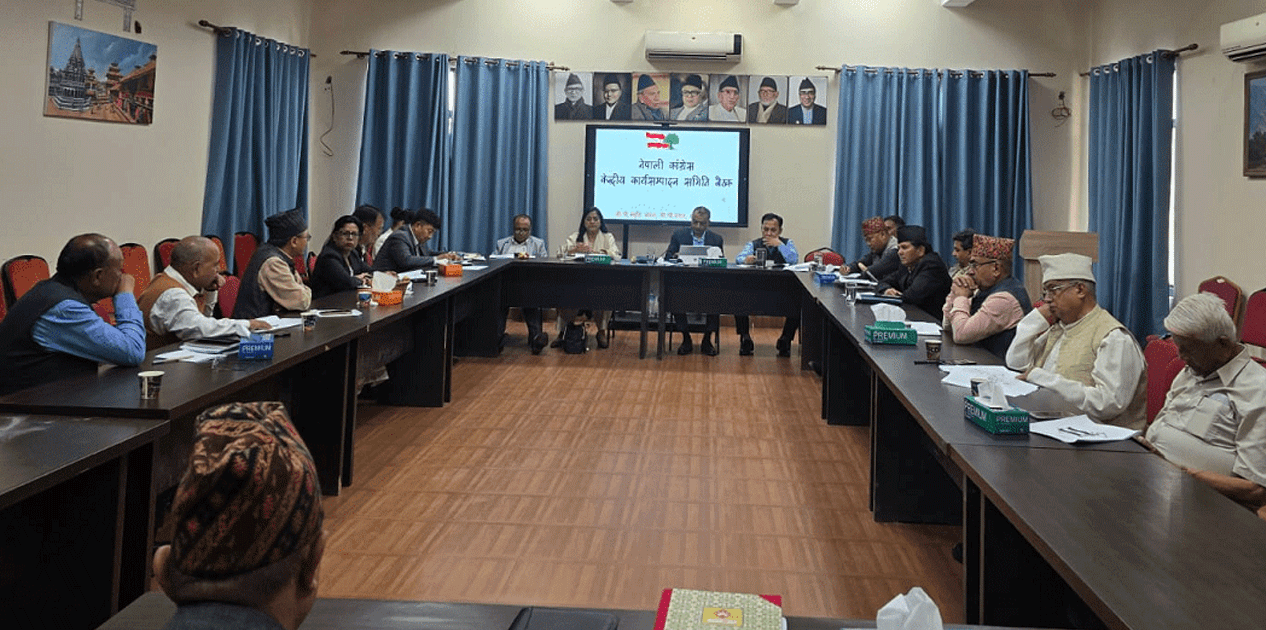 सानेपामा काँग्रेस कार्यसम्पादन समितिको बैठक जारी