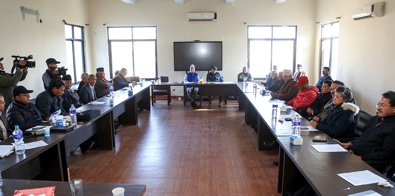 काँग्रेस बैठकमा गगन थापाको नयाँ प्रस्ताव