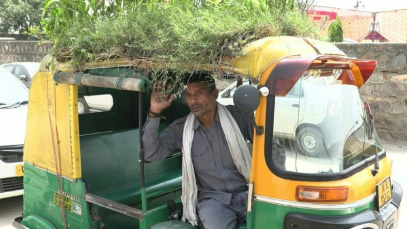 यात्रुहरूलाई चिसो राख्न अटो रिक्साको छतमा बगैंचा