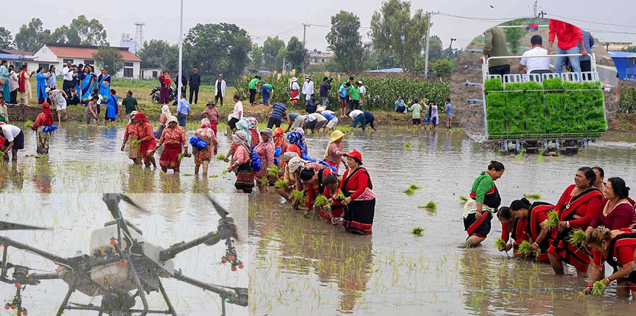 आधुनिक प्रविधिको प्रदर्शन, ड्रोनबाट मल छर्ने र मेसिनबाट रोपाइँ गर्ने अभ्यास