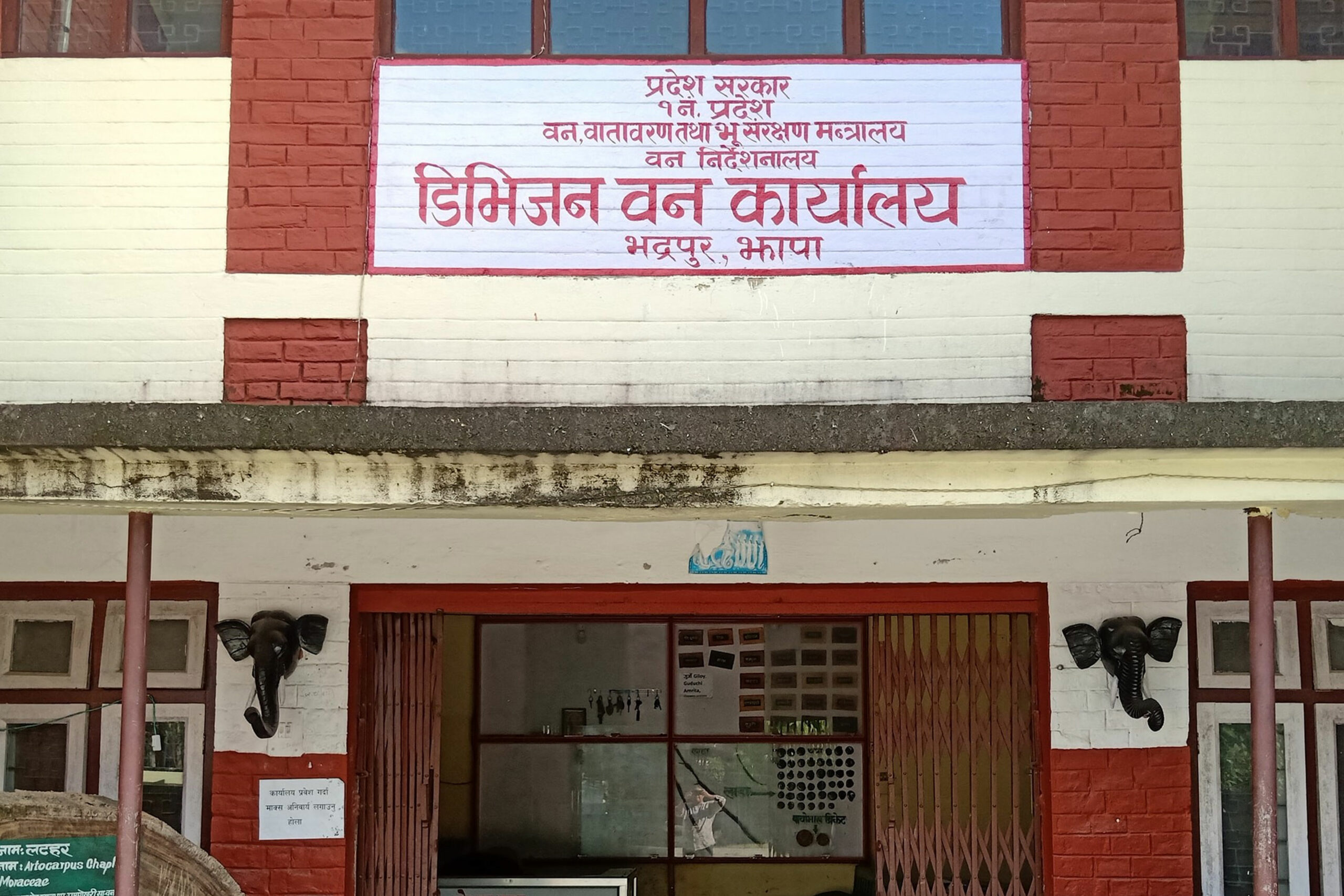 झापाका ५२५ जना वन्यजन्तु पीडित राहतका पर्खाइमा