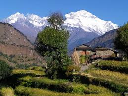 स्थानीय तह र वडा थप गर्न सिफारिस