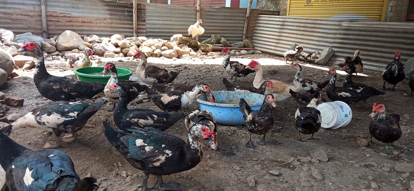 ब्याजमा अनुदान : युवा उद्यमी उत्साहित