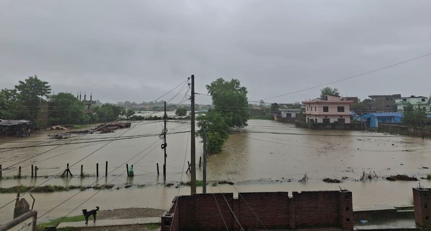 लगातारको वर्षापछि धनगढीलगायत आसपासका क्षेत्र जलमग्न