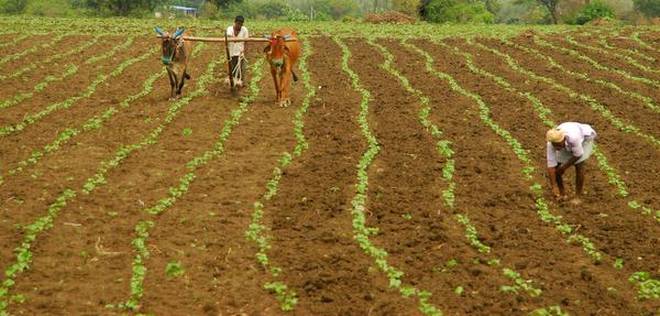 साना किसानहरुलाई सरकारको कार्यक्रममा सहभागि गराउन आबश्यक