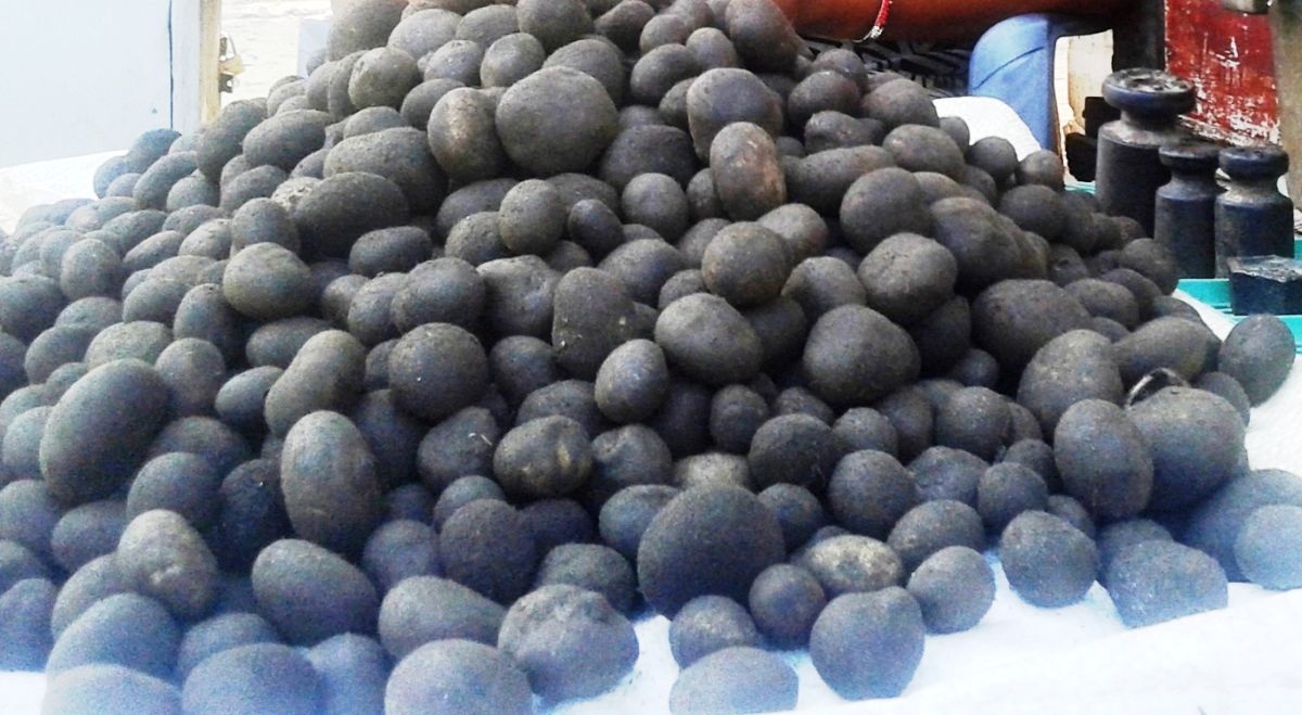 थारु समुदायको भान्सामा हराउँदै ‘फुटकी च्याउ’ को स्वाद