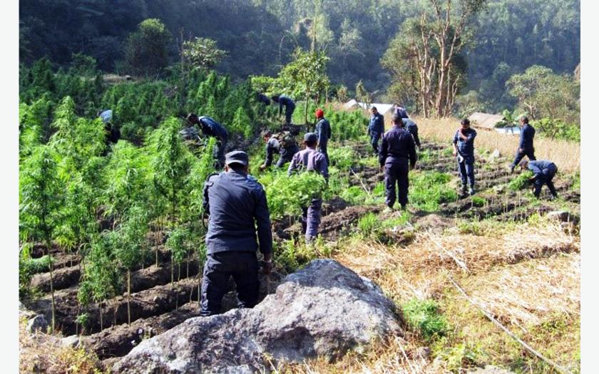 लागुऔषध नियन्त्रणमा वाग्मती प्रदेश प्रहरी