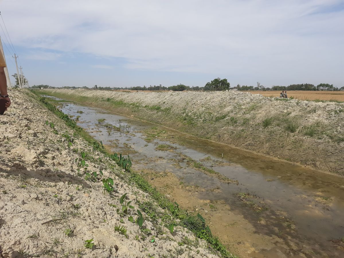 गण्डक नहर सरसफाइ अभियान तीव्र गतिमा
