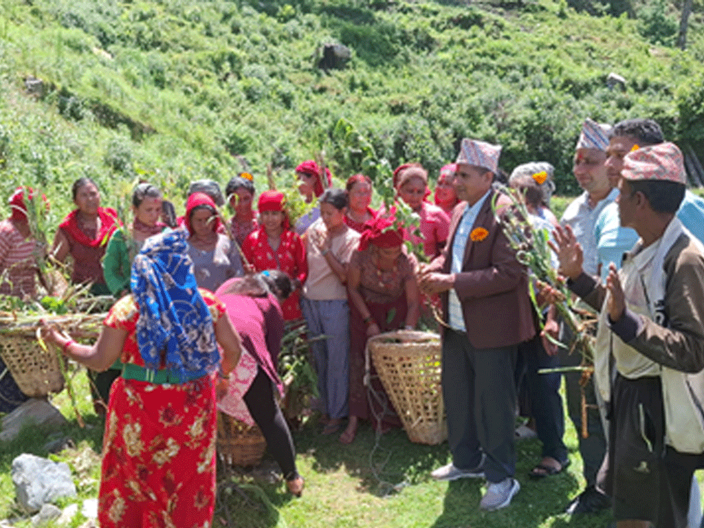 झाडी फाँडेर घाँस खेती, घरघरमा बाख्रापालन