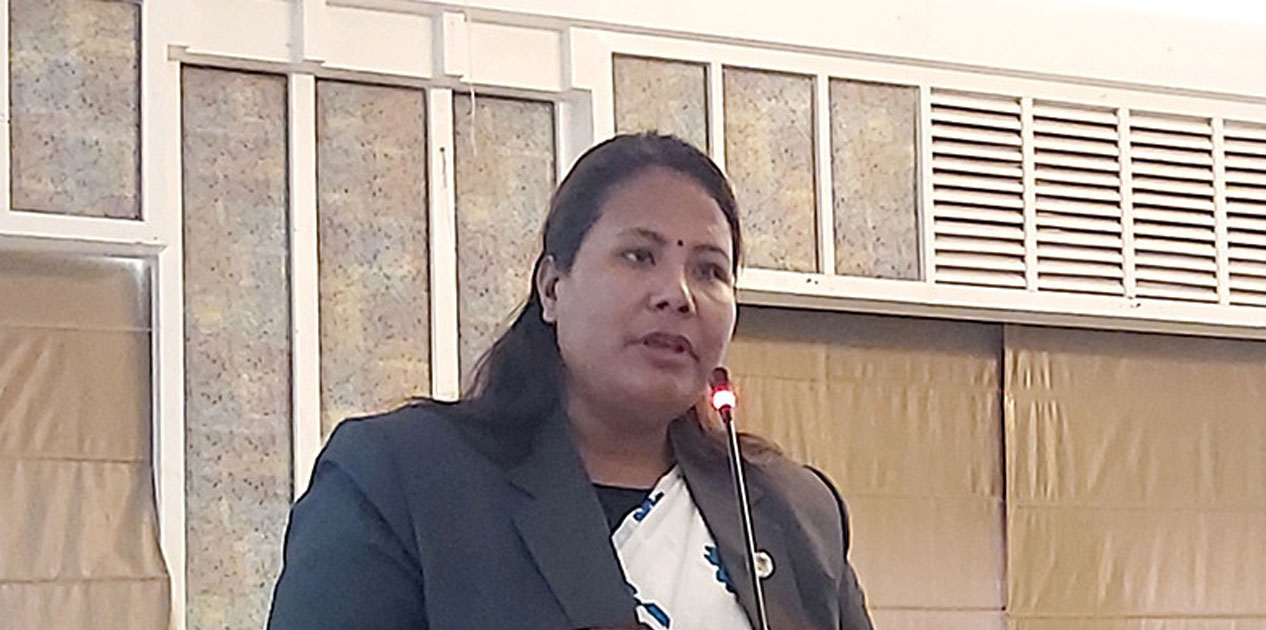 ‘न्युन कार्बन उत्सर्जन गर्ने नेपालले जलवायु परिवर्तनका अत्याधिक असरहरू भोग्नु परेको छ’ : मन्त्री चौधरी