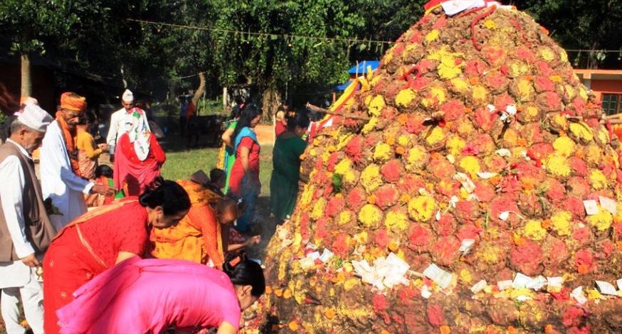 कार्तिक शुक्ल प्रतिपदाः आज गोरु, गोवर्द्धन र हलि पूजा