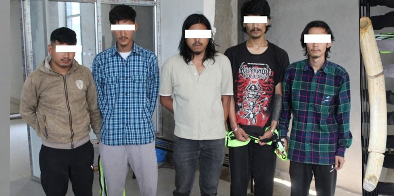 राष्ट्रपति कार्यालयबाट चोरी भएको हात्तीको दाह्रासहित पाँच जना पक्राउ