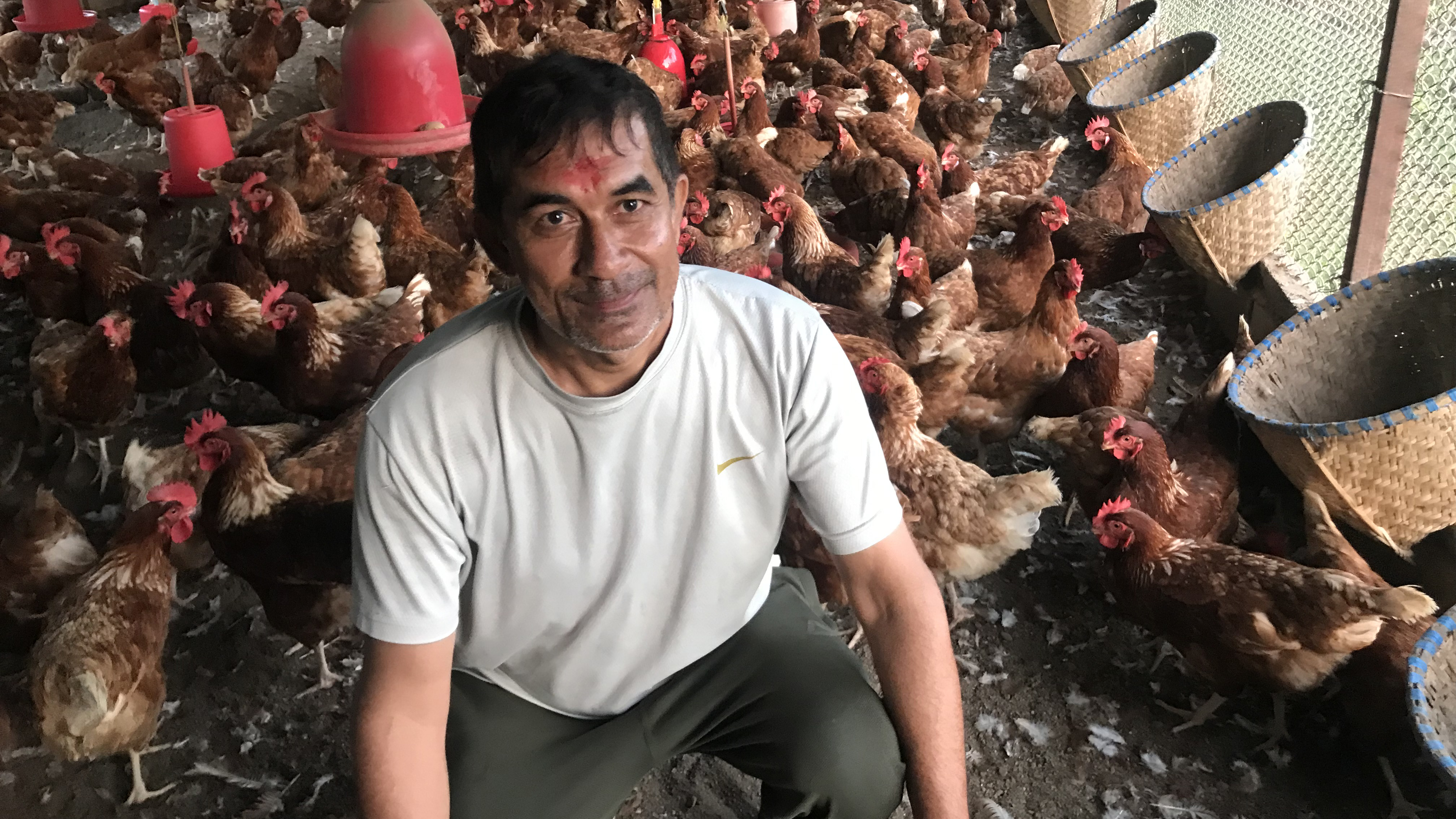 कुखुरापालन गरेर मासिक एक लाख आम्दानी