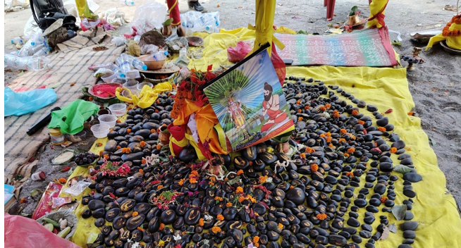 रुरु क्षेत्रमा पहिलो पटक शालिग्राम महोत्सव