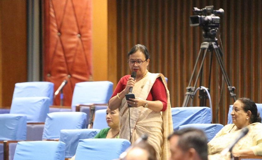 किसानलाई चिउरा चाउचाउ हैन, प्याकेज योजनाको व्यवस्था गर : सांसद न्यौपाने