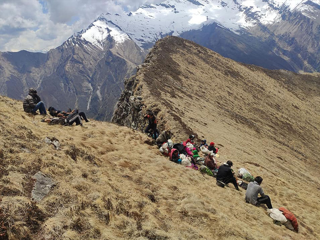 अनुमतिविना यार्सागुम्बा संकलन गर्न गएका २५ जना प्रहरीको नियन्त्रणमा