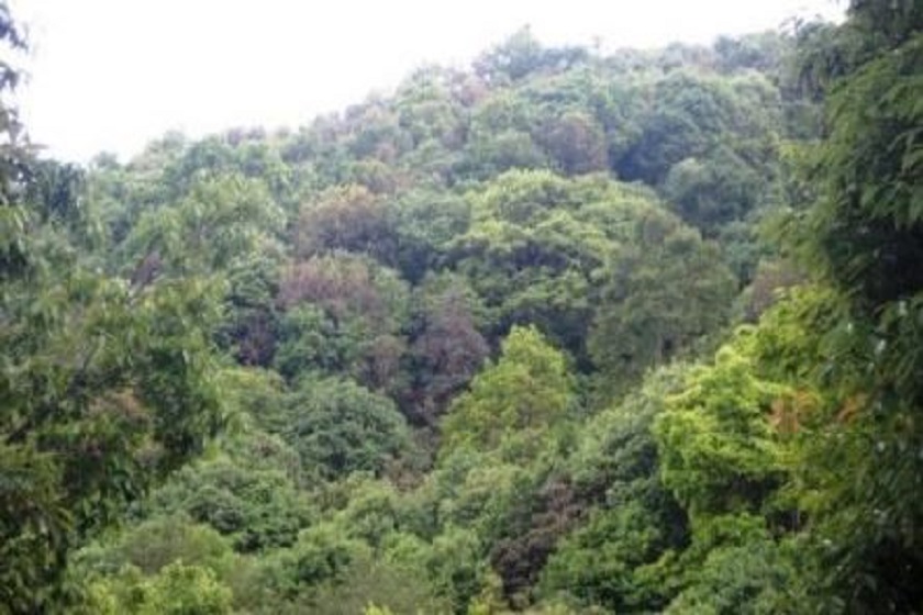 आम्दानीको स्रोत गुमाउँदै हिमाली क्षेत्रका सामुदायिक वन