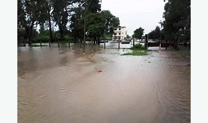 कुलो फुट्दा कैलालीमा सैंयौं घर डुबान