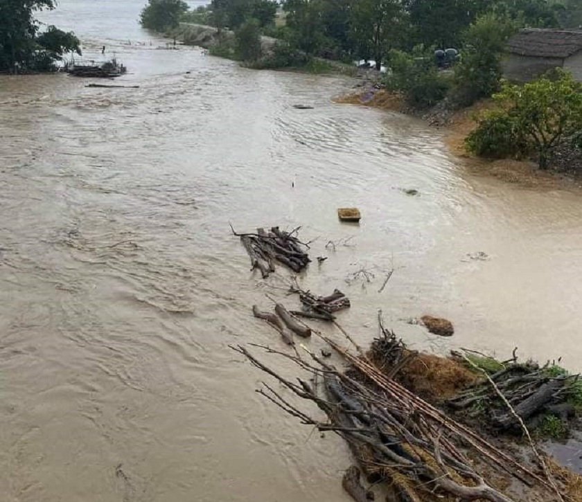 भारी वर्षासँगै यी नदीले खतराको तह पार गरे, चार वटामा चेतावनी