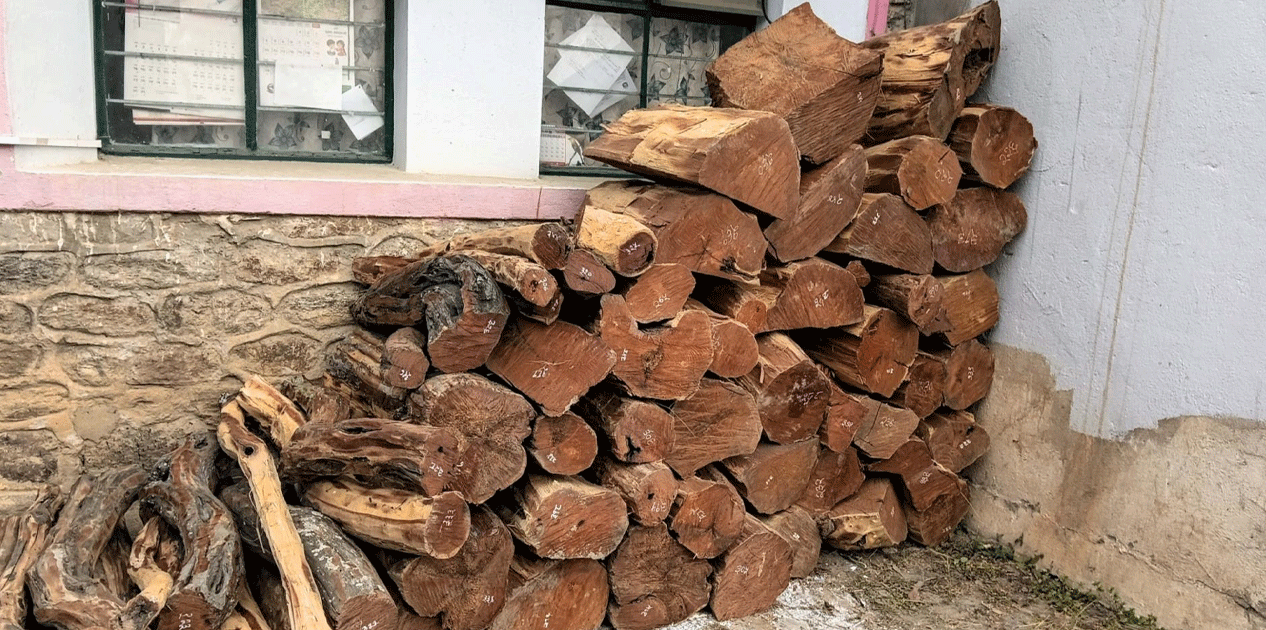 बरु वनमै कुहिन्छ, उपभोक्ताले सहजै पाउँदैनन् काठ