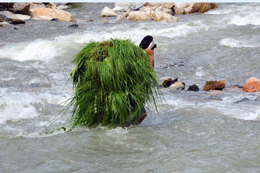 जोखिम मोलेर खोला तर्दै युवक