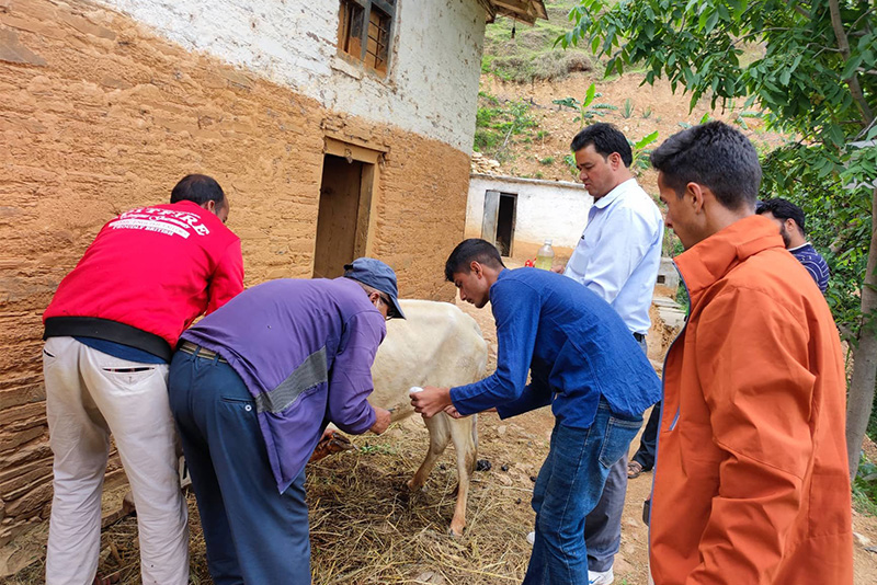 चितवनमा खोरेतविरुद्धको खोप अभियान
