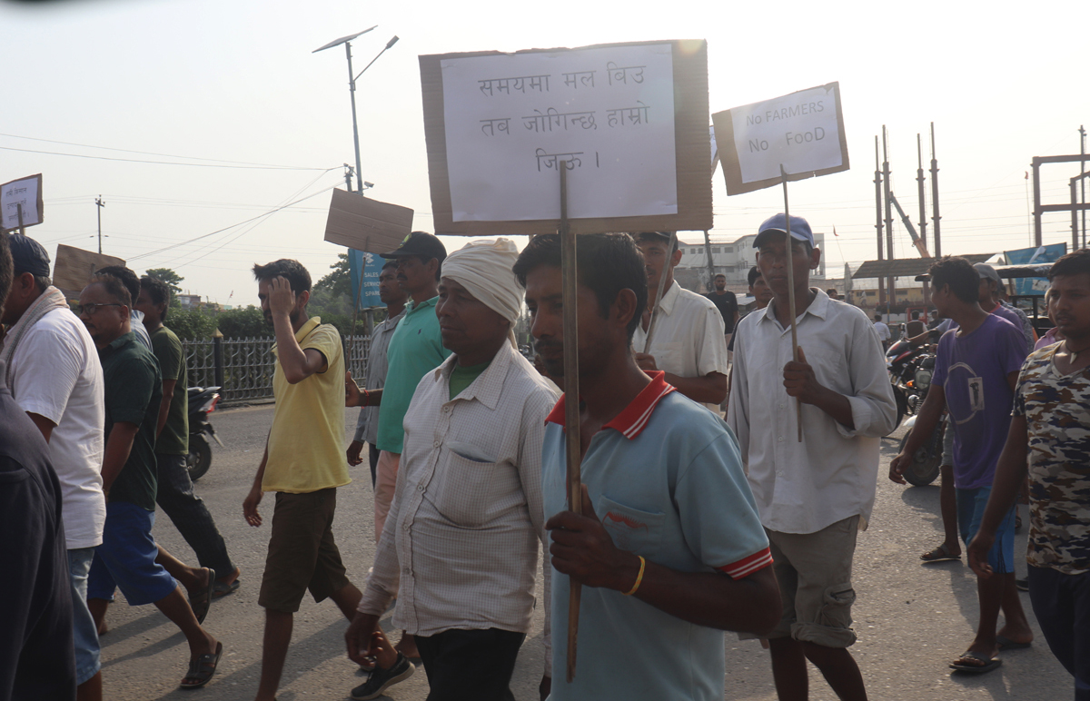 ‘मानो रोपेर मुरी फलाउने’ महिना, मल माग्दै किसान आन्दोलनमा