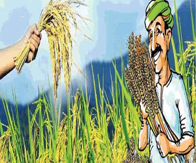 बीमावापतको रकम प्राप्त गर्न नसक्दा दोहोरो मारमा किसान