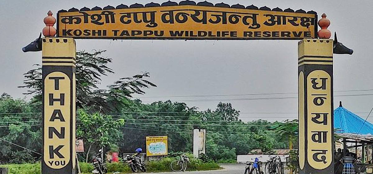 कोशी टप्पु वन्यजन्तु आरक्षबाट ४० लाख राजस्व
