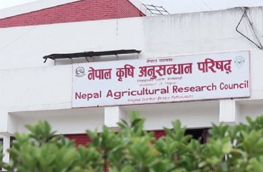 तीनसय बालीका १८ हजारभन्दा बढी जात संरक्षण