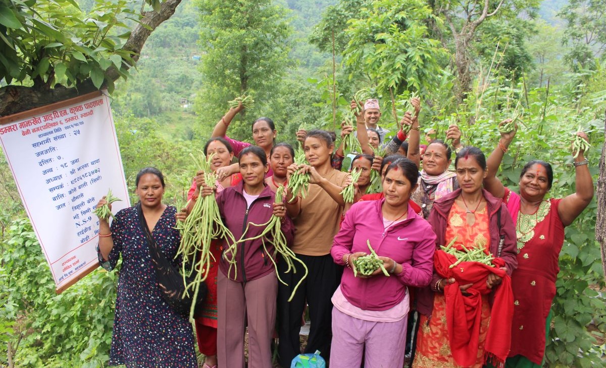 कृषिमा रैथाने सीप र प्रविधि बढाउन ‘कृषक पाठशाला’