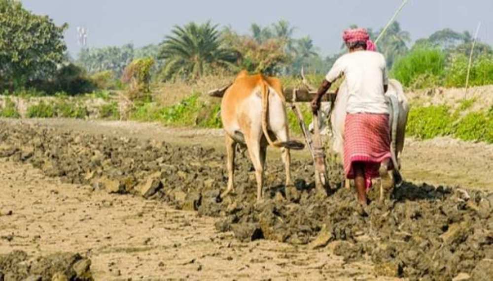 सरकारले नयाँ राष्ट्रिय कृषि नीति तयार गर्ने