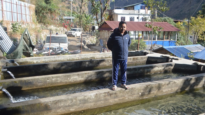राजनीतिसँगै व्यावसायिक माछापालनमा रमाउँदै गुरुङ, ३५ हजारसम्म भुरा उत्पादन​