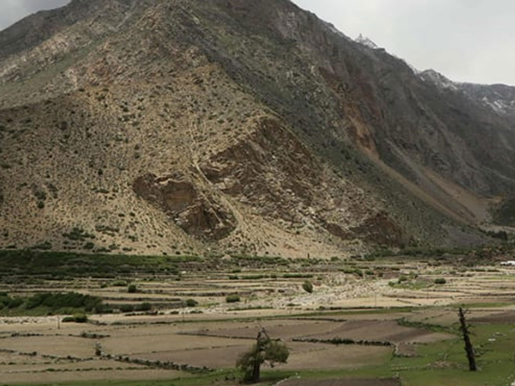 लिमी उपत्यकामा ३ वर्षसम्म जडीबुटी संकलनमा रोक