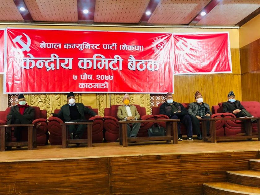 पार्टीभित्र देखिएको समस्या प्रधानमन्त्री ओलीका कारण निम्तिएको हो : माधवकुमार नेपाल
