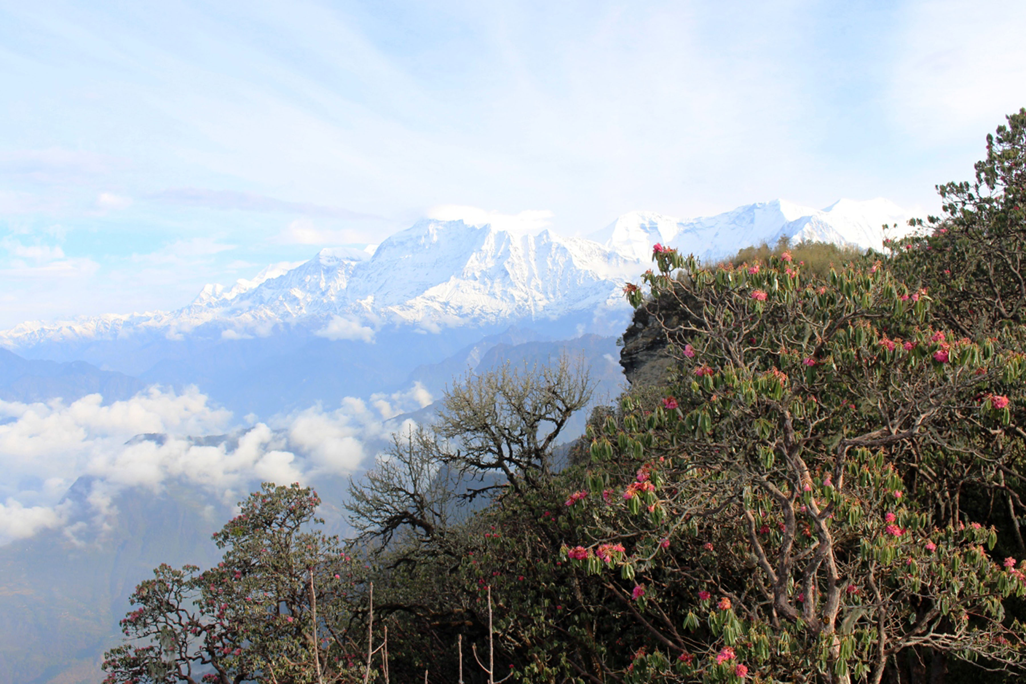 मालिकाबाट देखिएको धौलागिरि हिमाल