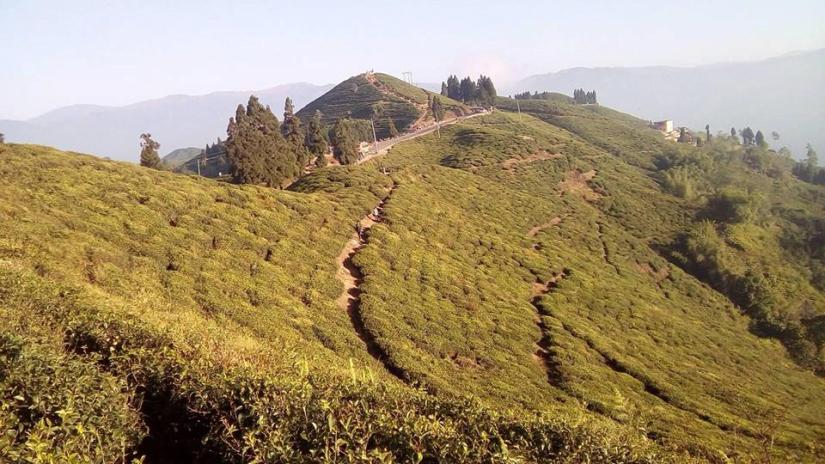 इलामै बजार चियाबारी राम्रो,  त्यहीँ घुम्ने मन हाम्रो, फोहोरचाहिँ नराम्रो