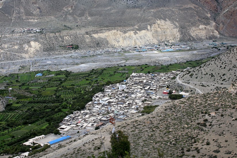 जलवायु परिवर्तनको असर : हिमालमा लामखुट्टे