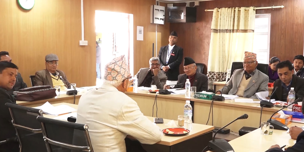 प्रतिनिधि सभा नियमावली मस्यौदा पारित