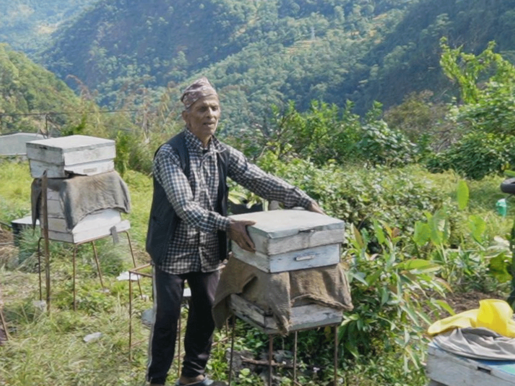 मौरीपालनबाट वार्षिक १५ लाख आम्दानी