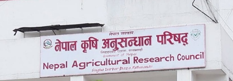 बिदा सकिएपछि पनि सम्पर्कविहीन बनेकी वैज्ञानिकलाई ७ दिनभित्र हाजिर हुन निर्देशन