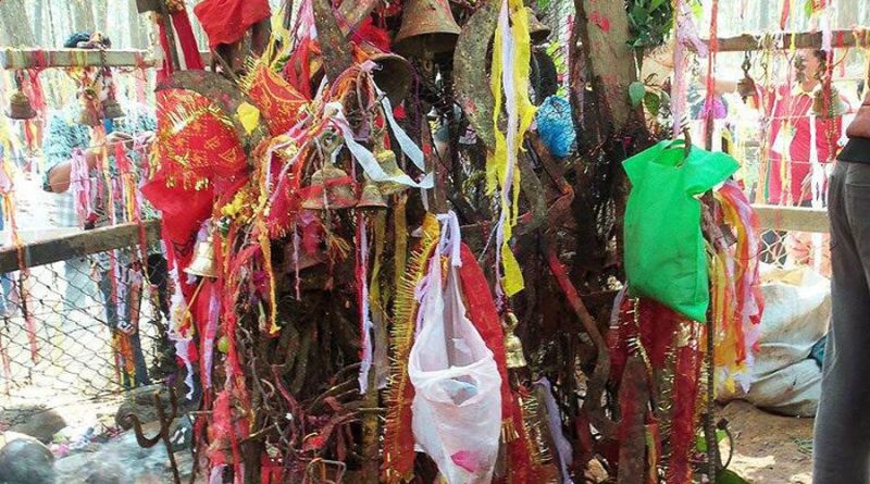 चितवनमा विक्रमबाबा मेला शुरु